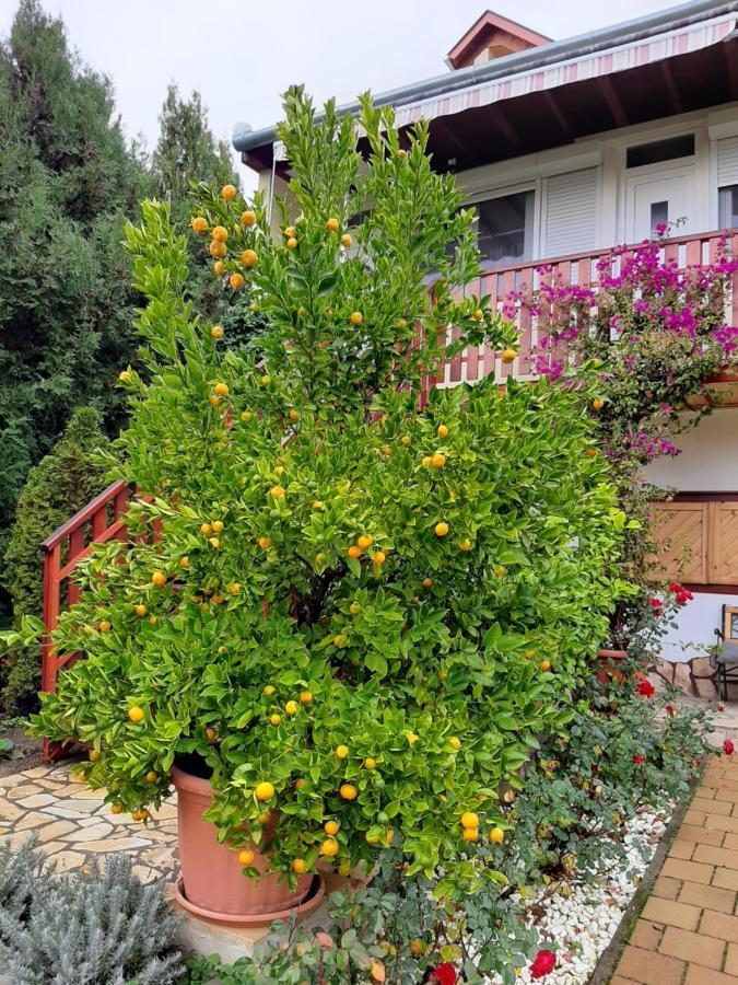 Rozsakert Vendeghaz Bed & Breakfast Szigliget Exterior photo