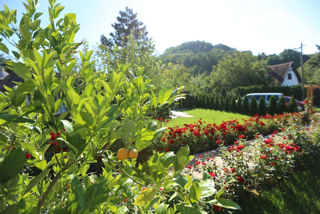 Rozsakert Vendeghaz Bed & Breakfast Szigliget Exterior photo