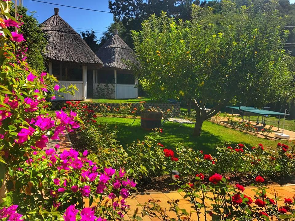 Rozsakert Vendeghaz Bed & Breakfast Szigliget Exterior photo